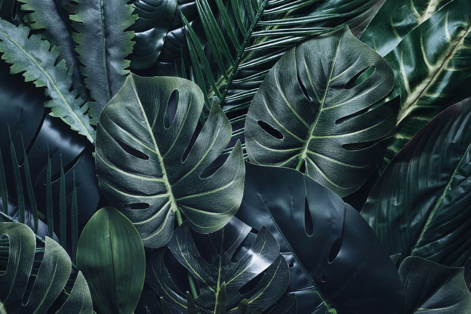 Landscaping in DAMAC Hills — Villa Garden and Pool Projects