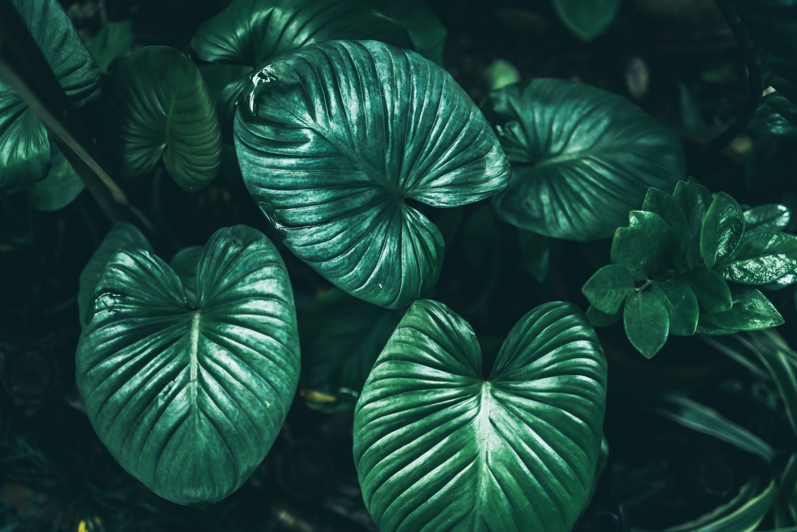 Top 15 Garden Design Ideas for Dubai Villas in 2026