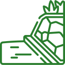 garden-feature-wall service icon — Make My Garden Dubai